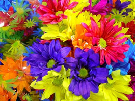 � ���� �����������!