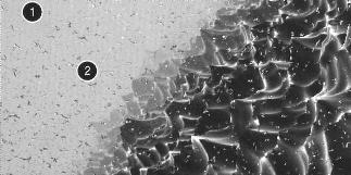 ������������ ����������� ������������