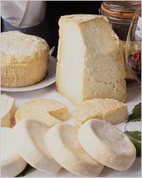 �������� ��������