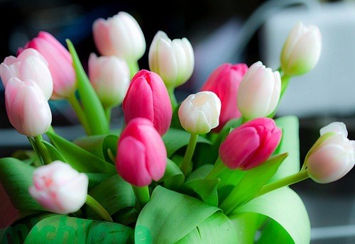 ���� ������������ ���������