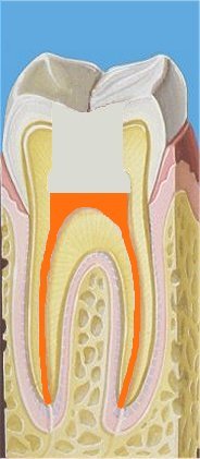 ����� ������� ��������